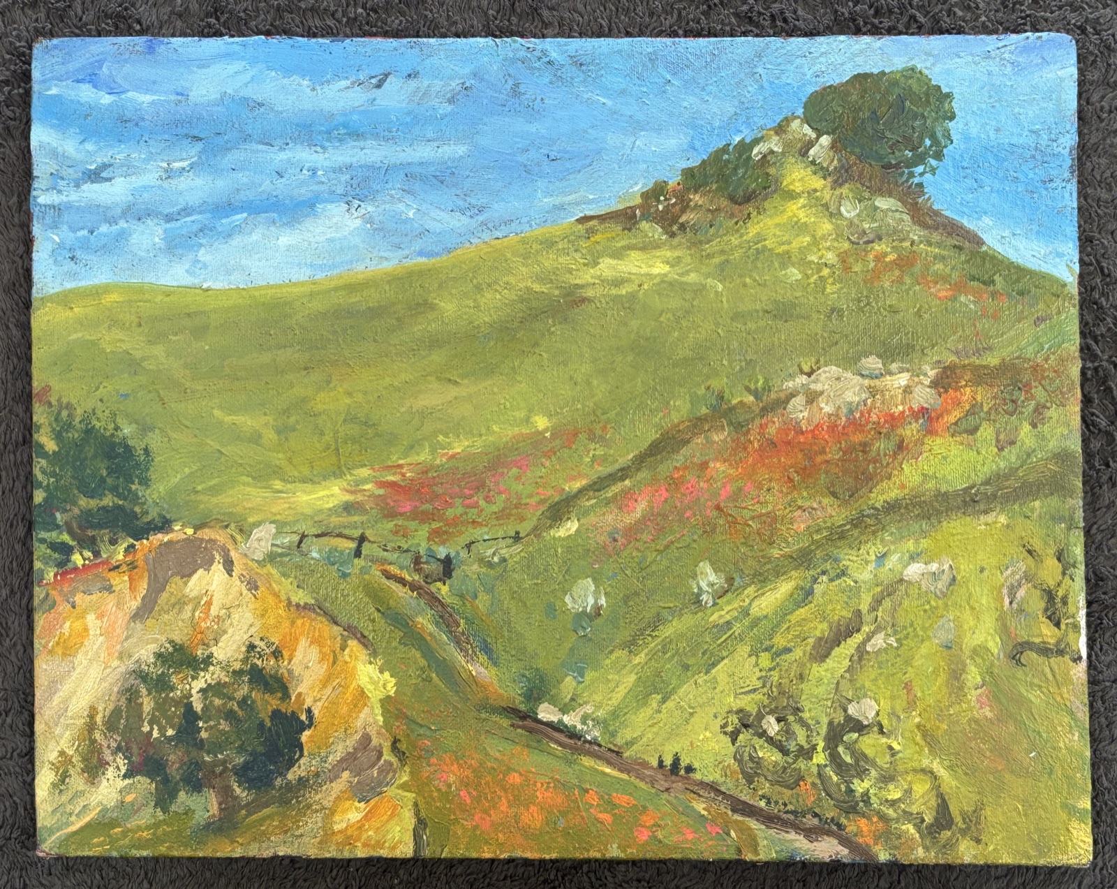 Sibley — acrylic on wood